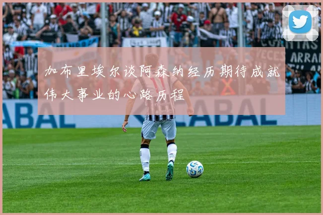 加布里埃尔谈阿森纳经历期待成就伟大事业的心路历程